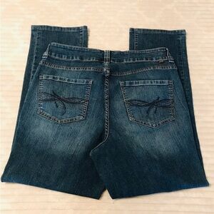 Jag Jeans Slim Skinny Fit Plus Size 16W